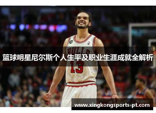 篮球明星尼尔斯个人生平及职业生涯成就全解析